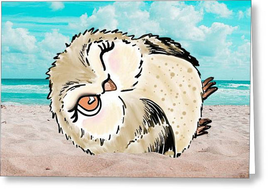 Hootie Hoo at the Beach  - Greeting Card