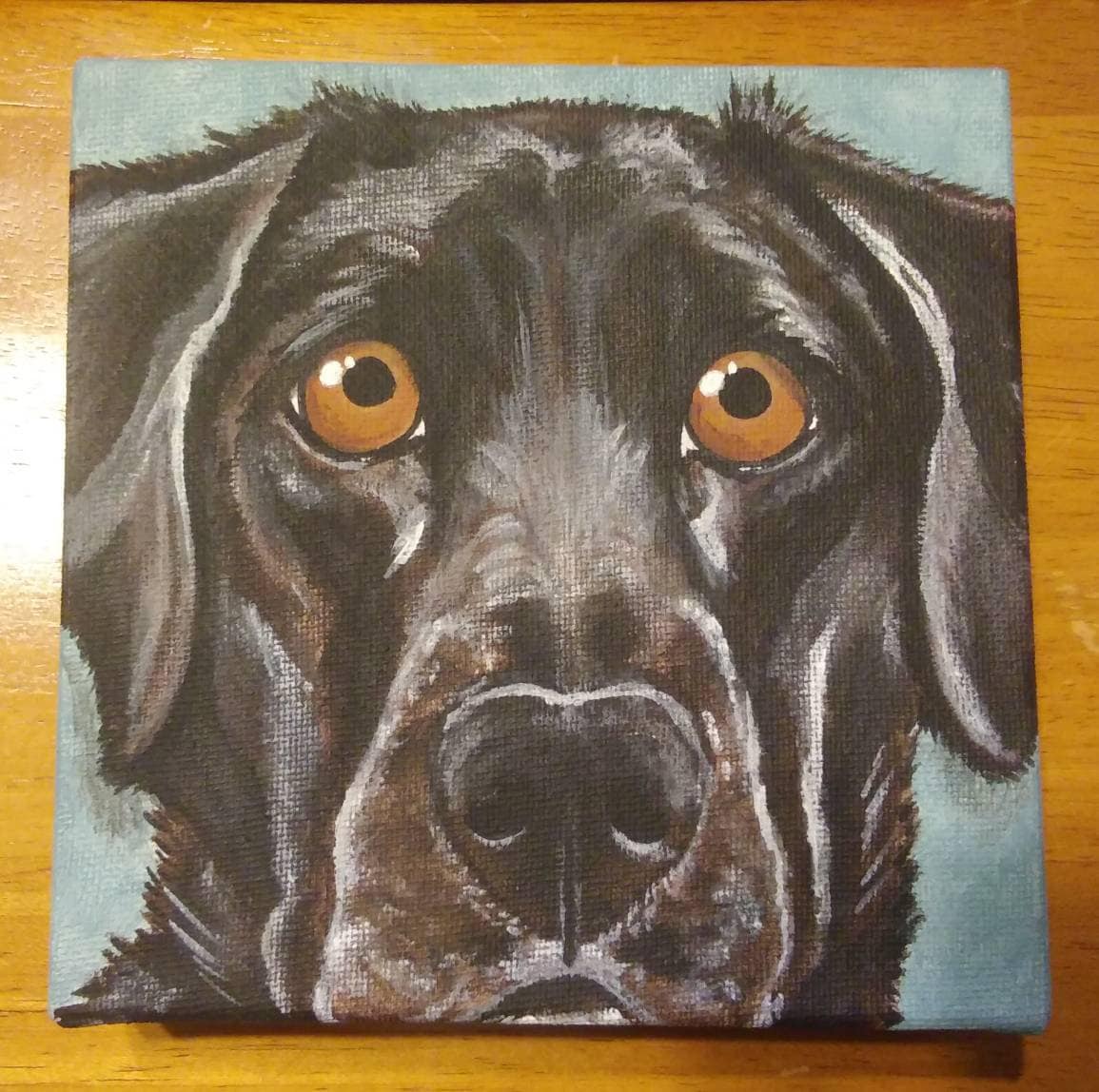CUSTOM Pet Portrait Painting 6x6 pet memorial, dog, cat, best friend , pet loss, #petportrait