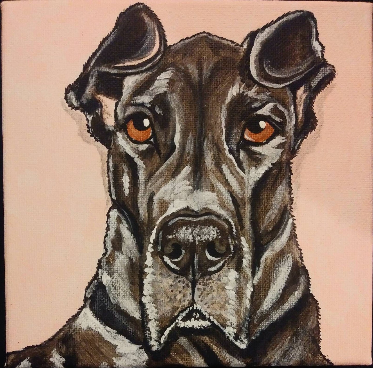 CUSTOM Pet Portrait Painting 6x6, pet memorial, personalized art, pet owner gift, pet loss, dog art, cat