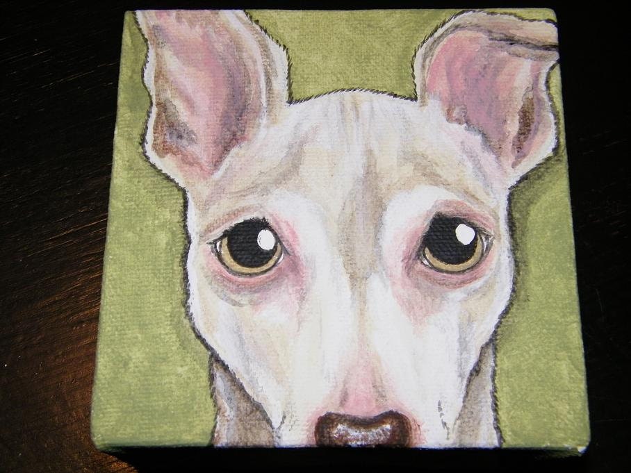 Custom Pet Portrait Painting 4x4, pet memorial, pet loss, painted dog, cat, art