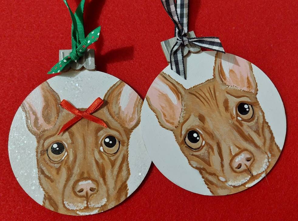 Two Custom Pet Portrait Ornaments - Hand painted wood Christmas tree decor gift idea dog cat animal , pet memorial, pet loss, pet painting