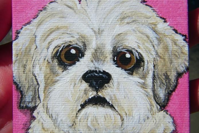 Custom Pet Painting Portrait 5x7, dog, cat, pet memorial, pet loss, pet owner gift, personalized, painted pet