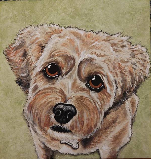 Scruffy woof - Art Print