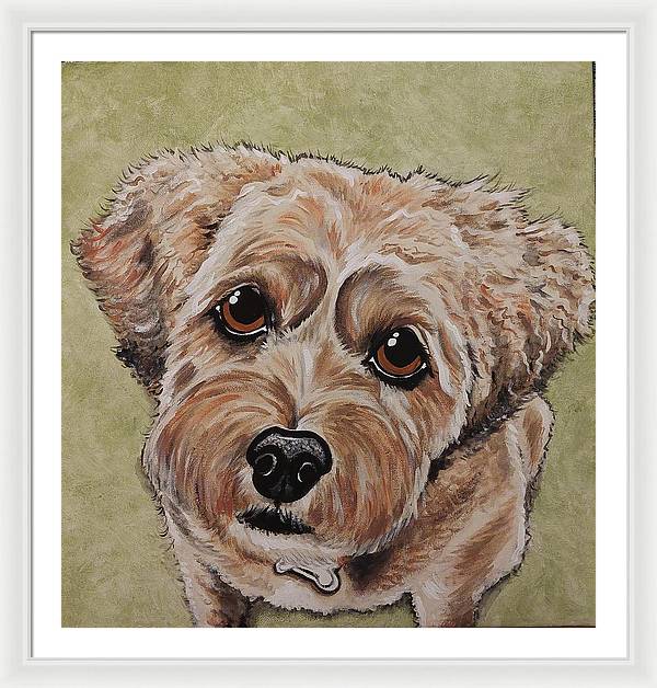 Scruffy woof - Framed Print