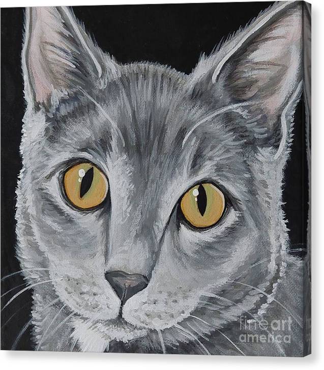 Wolf cat - Canvas Print