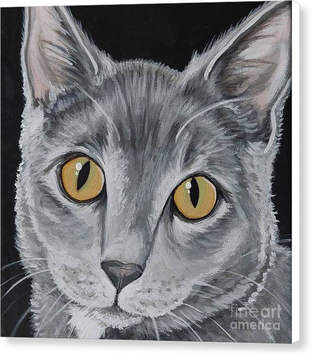 Wolf cat - Canvas Print