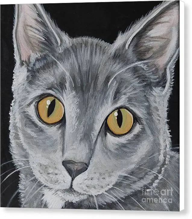 Wolf cat - Canvas Print Pixels