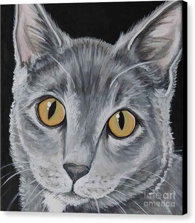 Wolf cat - Canvas Print