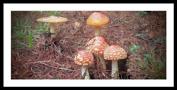 Woodland fairy lookout - Framed Print Pixels