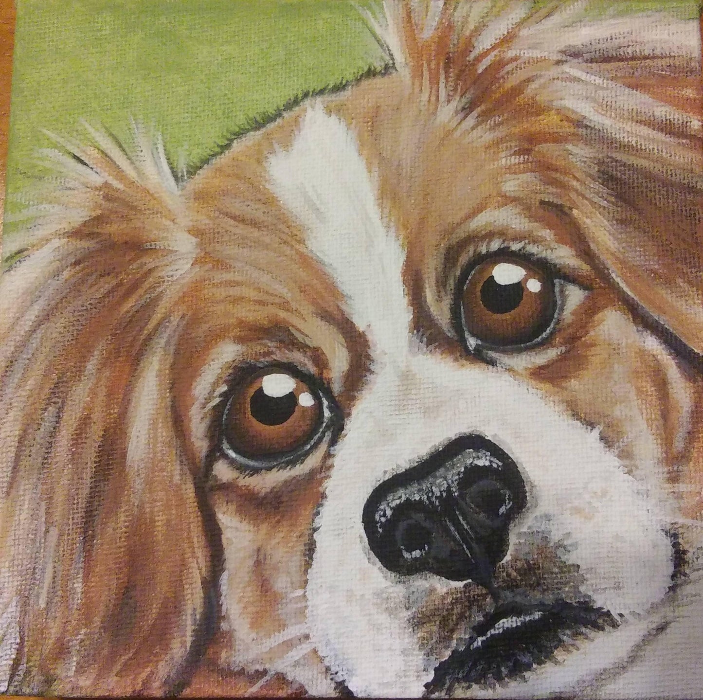 CUSTOM Pet Portrait Painting 6x6 pet memorial, dog, cat, best friend , pet loss, #petportrait