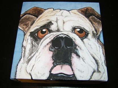 Custom Pet Portrait Painting 6x6 , pet memorial, pet owner gift, dog, cat, pets, painted pet, personalized