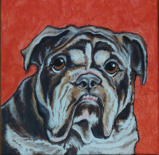 #bulldog #petportrait #painteddog #petportraitartist